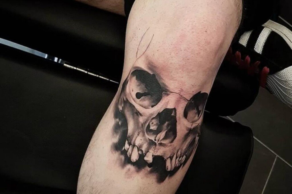 Skulls and Dark Aesthetic Themes